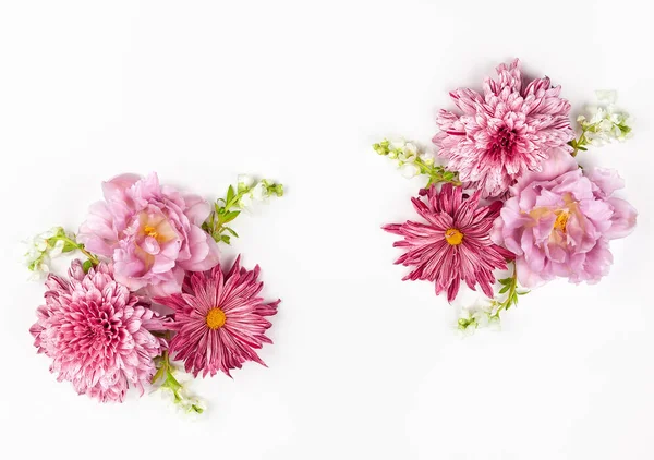 Schöne rosa Blumen auf weißem Hintergrund. — Stockfoto