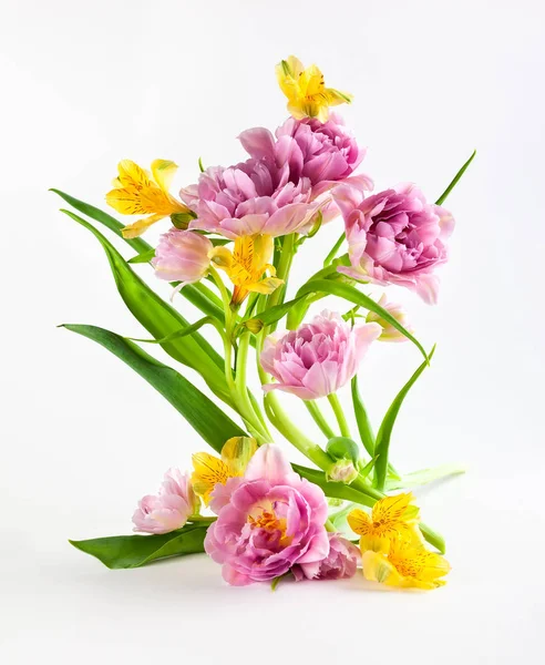 Pink tulip and yellow spring flowers on white background. — Stock Photo, Image