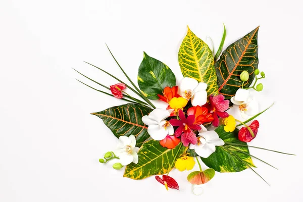 Composition with fresh tropical leaves and exotic flowers on whi — Stock Photo, Image