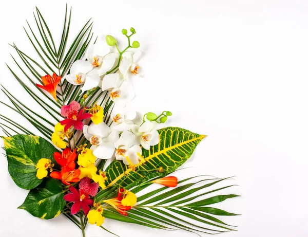 Composition with fresh tropical leaves and exotic flowers on whi — Stock Photo, Image