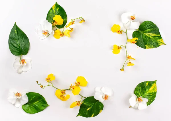 Komposition mit frischen tropischen Blättern und exotischen Blüten — Stockfoto