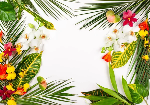 Komposition mit frischen tropischen Blättern und exotischen Blüten — Stockfoto