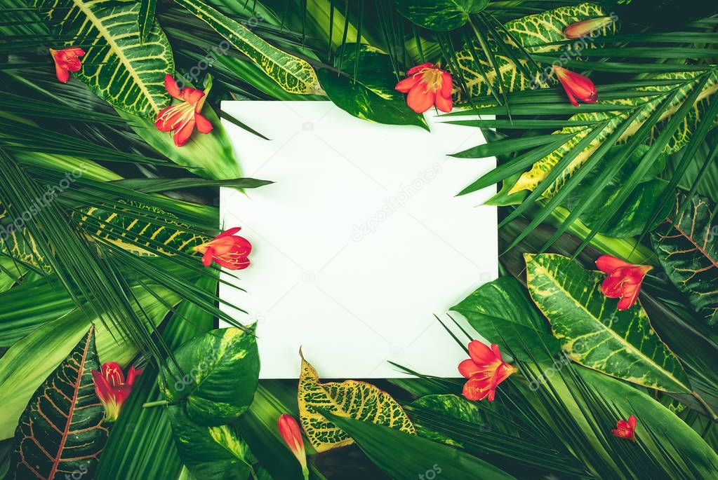Composition with fresh tropical leaves and exotic flowers on whi