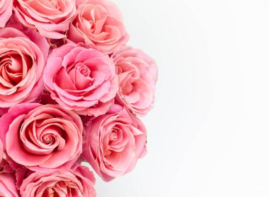 Güzel pembe güller