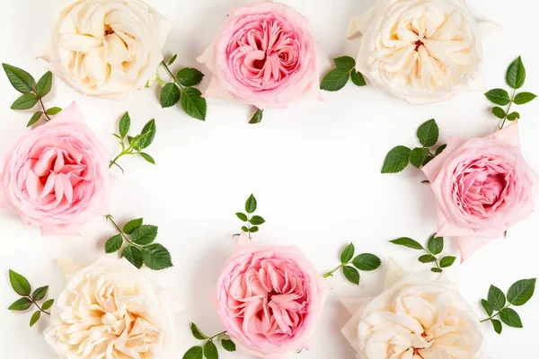 Mooie roze en witte rozen bloemen met bladeren — Stockfoto