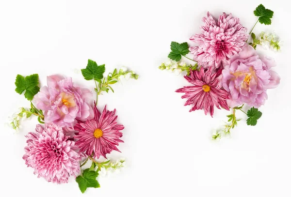 Vackra rosa blommor på vit bakgrund. — Stockfoto