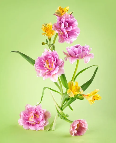 Pink tulip and yellow spring flowers on green background. — Stock Photo, Image