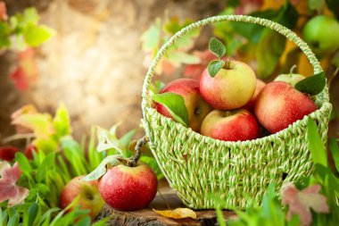 Sepette taze elmalar