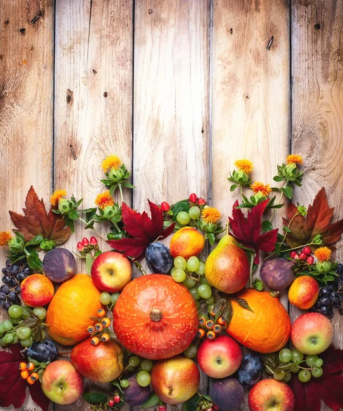 Fondo de Acción de Gracias con calabazas de otoño, frutas y flores — Foto de Stock