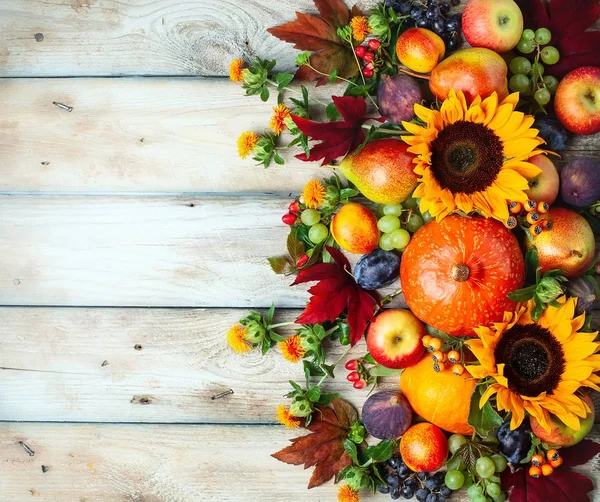 感恩节背景与秋天的南瓜，水果和鲜花 — 图库照片
