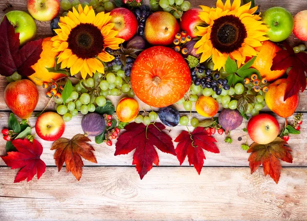 Thanksgiving background with autumn pumpkins, fruits and flowers — Stock Photo, Image