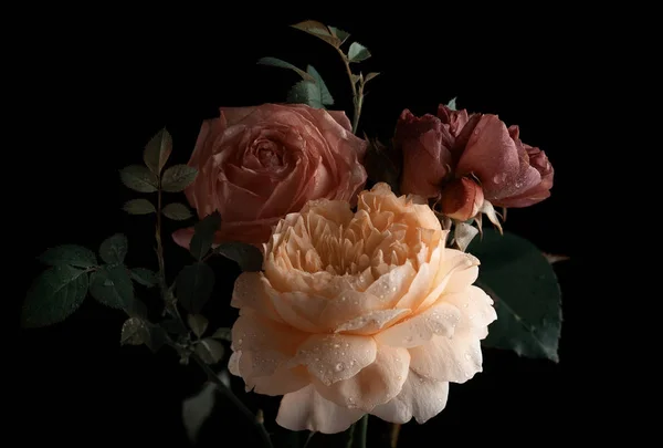 Hermoso ramo de rosas coloridas flores — Foto de Stock