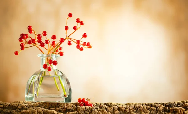 Beautiful autumn red berries in glass bottle on wood  at bokeh b — Stock Photo, Image