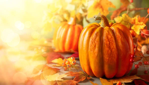 Calabazas de naranja de acción de gracias, hojas de otoño y bayas en woode —  Fotos de Stock