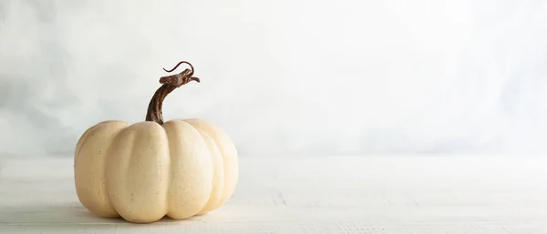 White pumpkin on vintage wooden table. Autumn still life. Hallow — Stock Photo, Image