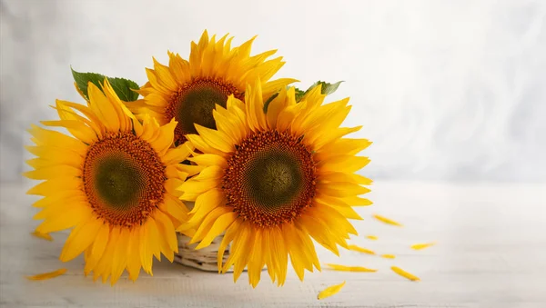 Herbststilleben mit Sonnenblumen im Korb. Herbstliche Anordnung — Stockfoto