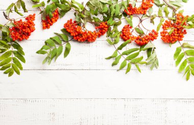 Sonbahar kavramı wth yaprakları ve beyaz bir rustik b rowan çilek