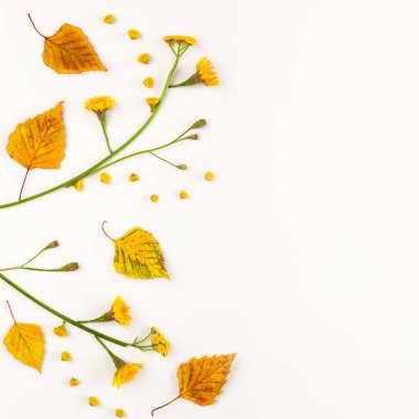 Whit üzerinde sonbahar kurutulmuş yaprakları ve çiçekleri ile Sonbahar kompozisyon