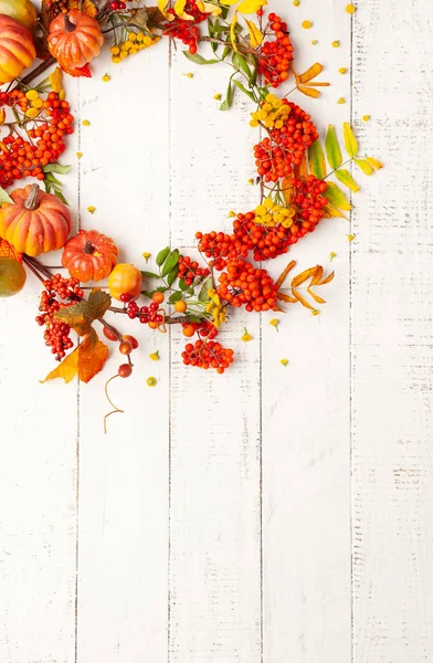 Koncepcja Jesienna z dyni, kwiatów, jesiennych liści i Jarzębina — Zdjęcie stockowe