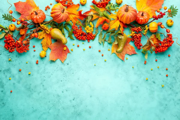Koncepcja Jesienna z dyni, kwiatów, jesiennych liści i Jarzębina b — Zdjęcie stockowe