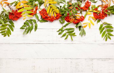 Sonbahar kavramı wth yaprakları ve beyaz bir rustik b rowan çilek