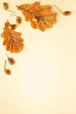 Meşe ağacı ve acor sonbahar kurutulmuş yaprakları ile Sonbahar kompozisyon