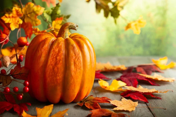 Erntedank Orangenkürbisse, Herbstblätter und Beeren auf Holz — Stockfoto