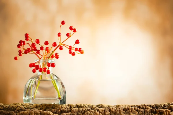 Beautiful autumn red berries in glass bottle on wood  at bokeh b — Stock Photo, Image