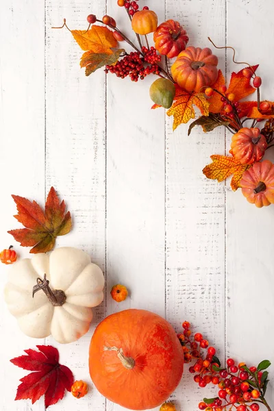 Decorazione di autunno festiva da zucche, bacche e foglie su un whit — Foto Stock