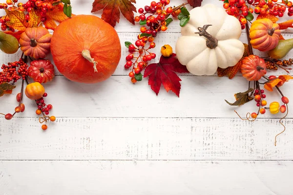 Feestelijke herfst decor van pompoenen, bessen en bladeren op een whit — Stockfoto