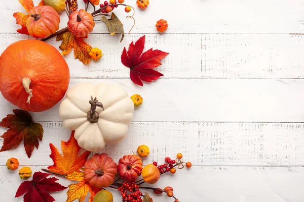 Decorazione di autunno festiva da zucche, bacche e foglie su un whit — Foto Stock