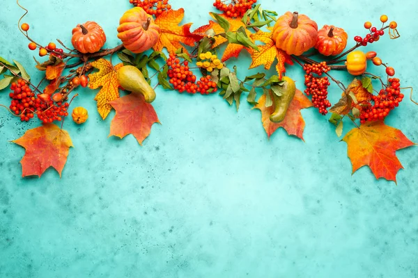 秋天的概念与南瓜，鲜花，秋叶和罗兰b — 图库照片