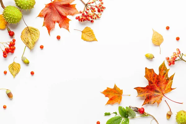 Yapraklardan yapılmış sonbahar kompozisyonu, beyaz arka plan üzerine çilek. 