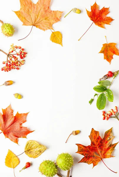 Yapraklardan yapılmış sonbahar kompozisyonu, beyaz arka plan üzerine çilek. 