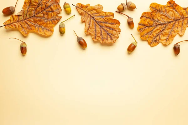 Meşe ağacı ve acor sonbahar kurutulmuş yaprakları ile Sonbahar kompozisyon