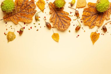 Meşe ağacı, meşe palamudu bir sonbahar kurutulmuş yaprakları ile Sonbahar kompozisyon