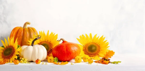 Hermosa naturaleza muerta de otoño con girasoles, flores rojo-amarillas —  Fotos de Stock