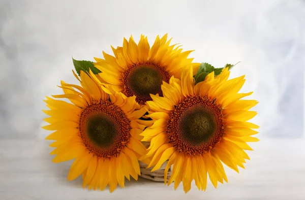 Bodegón de otoño con girasoles en cesta. Acuerdo de otoño —  Fotos de Stock