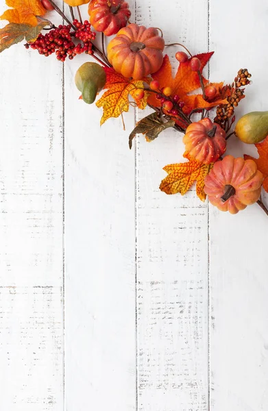 La decoración festiva otoñal de las calabazas, las bayas y las hojas en el punto —  Fotos de Stock