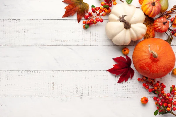 Feestelijke herfst decor van pompoenen, bessen en bladeren op een whit — Stockfoto