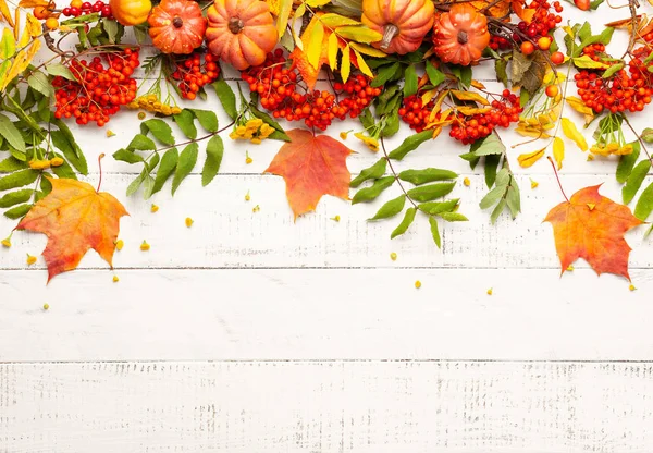 Concept d'automne avec citrouilles, fleurs, feuilles d'automne et rowan — Photo