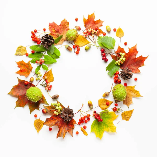 Podzimní věnec z listí, bobule na bílém pozadí. Minule — Stock fotografie