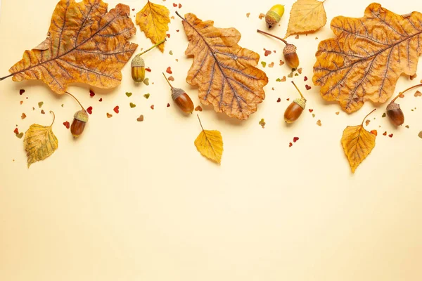 パステル背景にオークの木 ドングリ 栗の秋の乾燥した葉と秋の組成 フラットレイ コピースペース — ストック写真