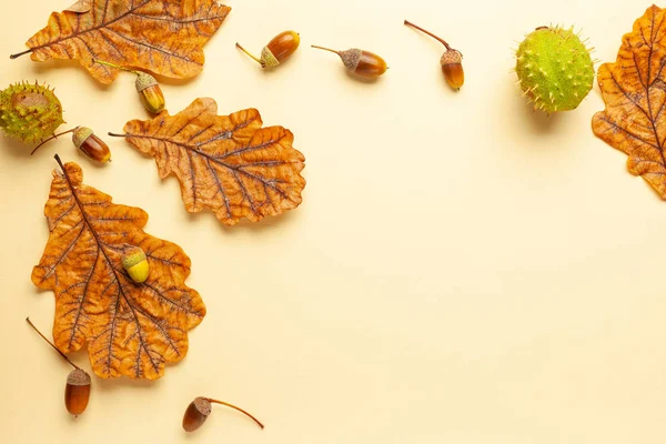 オークの木の秋の乾燥した葉と秋の組成物、ドングリ — ストック写真