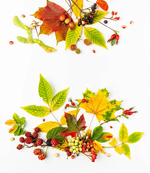 Jesienna kompozycja wykonana z liści, jagód na białym tle. — Zdjęcie stockowe