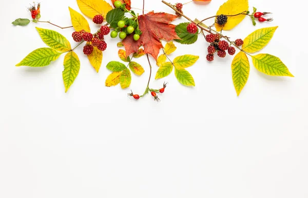Jesienny skład wykonany z kwiatów, liści, jagód na białym grzbiecie — Zdjęcie stockowe