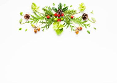 Ladin ve holly dalları ile Noel kompozisyon re