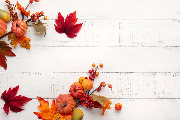来自南瓜、浆果和叶子的节日秋季装饰 — 图库照片