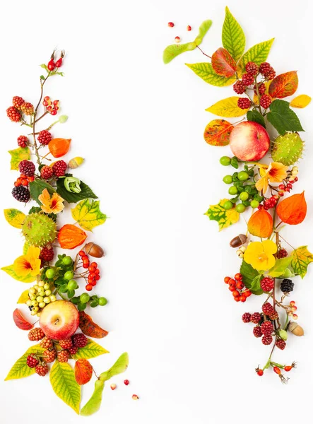 Herbstkomposition aus Blüten, Blättern, Beeren auf weißem Rücken — Stockfoto