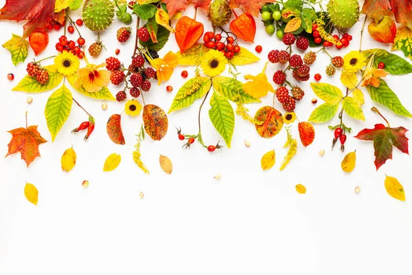 Höst komposition gjord av blommor, löv, bär på vit rygg — Stockfoto